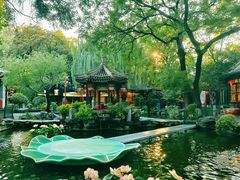 -白家大院·王府宫廷菜(苏州街店)