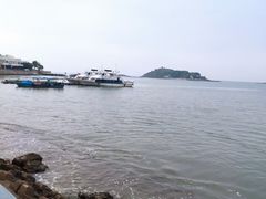 -大亚湾红树林城市湿地公园