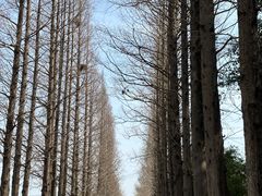 -嘉北郊野公园