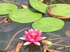 -昆山城市生态森林公园