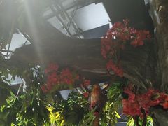 -草原塞蛮羊火锅城(港湾店)