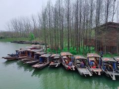 -溱湖国家湿地公园