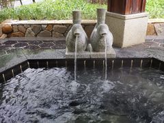 -盘锦红海温泉乐园