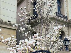 -子霖南山鲜虾面(南山总店)