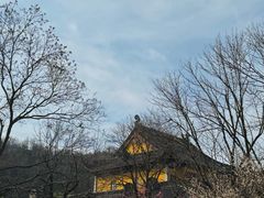 -灵顺寺