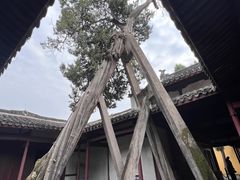 -太平天国侍王府