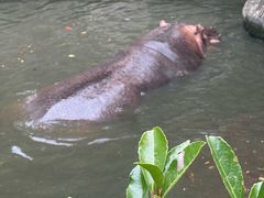 -宁波野生动物园