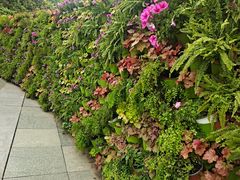 -南山植物园