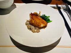 -觀芷隐轩