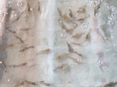 -西江河鲜·趣苑酒楼(鼎湖店)