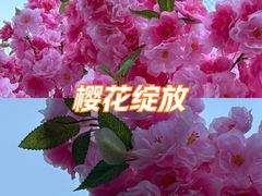 -金茂览秀城