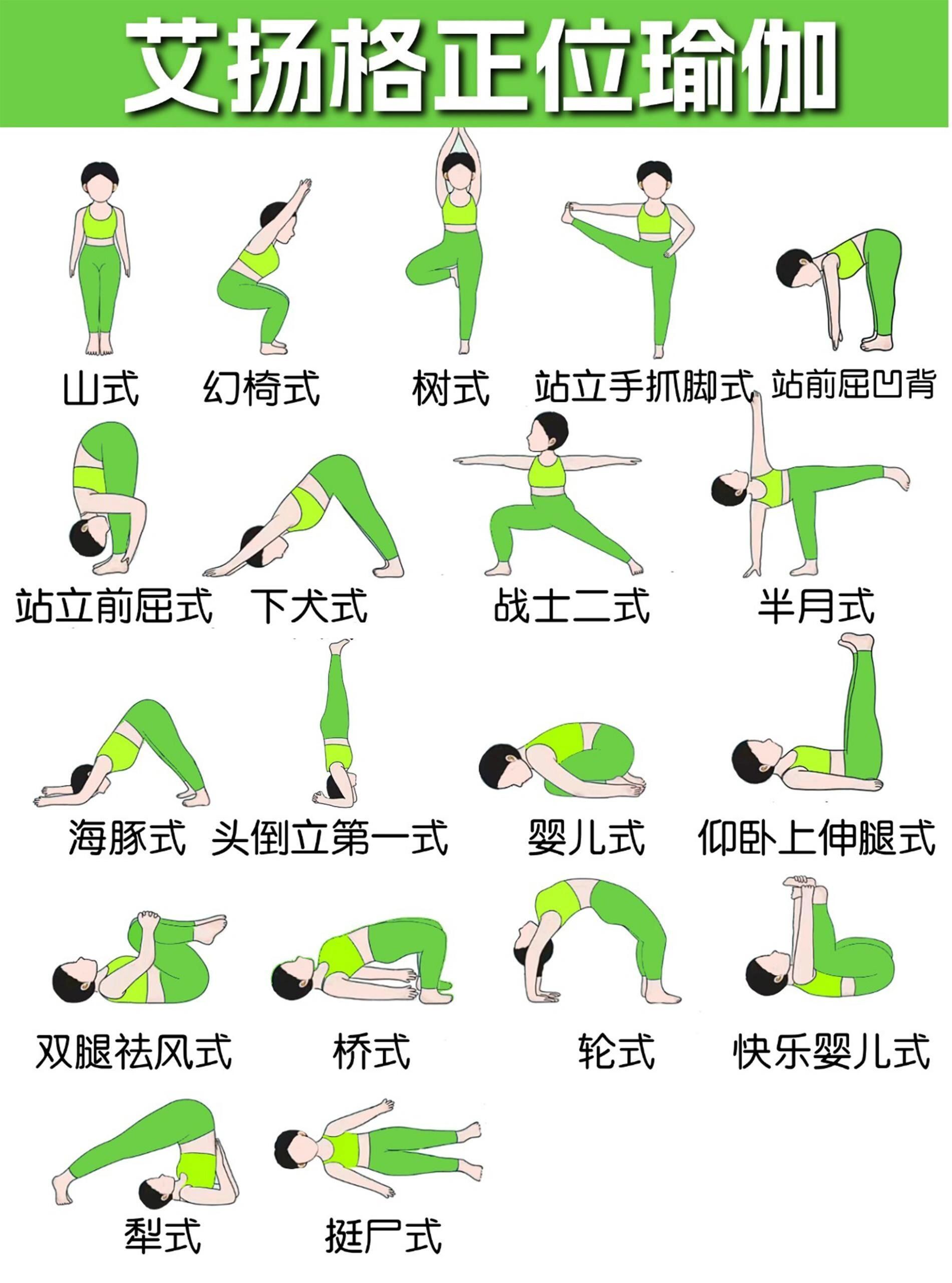 第二十天,艾扬格正位瑜伽