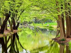 -上海共青森林公园