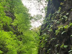 -野三坡百里峡景区