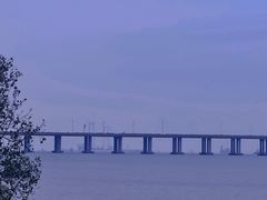 -宝安西湾红树林湿地公园