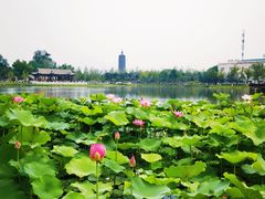 -西海子公园