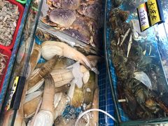 -望海潮海鲜店 特色家常菜(在海一方店)