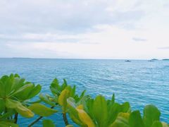 -中央格兰德岛温泉度假酒店 - 全包