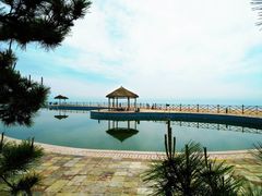 -日照海滨国家森林公园