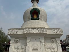 -西塔