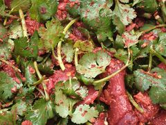 -阆辣荟餐饮(老味道8年·古城店)