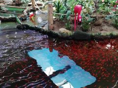 -鸿通城购物中心