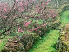 -唐崖土司城遗址