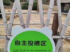 -无锡动物园·太湖欢乐园