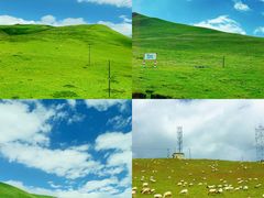 -青海湖国家重点风景名胜区