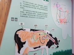 -君乐宝优致牧场