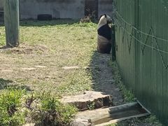 -沈阳森林动物园