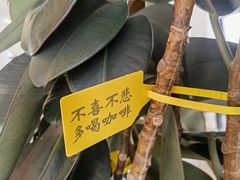 -ChanDu躔度咖啡(灯塔店)