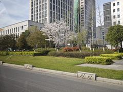 -双合园·海鲜水饺青岛菜(上清路店)