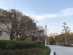 -天王寺公园