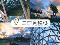 -呀诺达热带雨林
