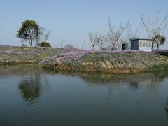 -下渚湖国家湿地公园科普馆