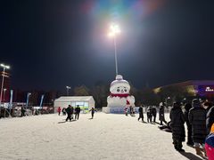 -沈阳奥体冰雪嘉年华