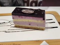 -哈根达斯(深圳海岸城店)