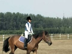 -月河湾马术俱乐部(朝阳店)