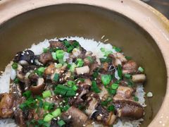-红星光发煲仔饭(大石街店)
