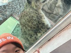 -青藏高原野生动物园