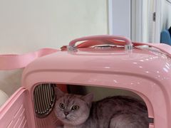 -美联众合动物医院·24h京西诊疗中心