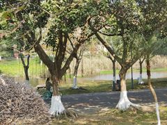-北京师范大学(珠海校区)