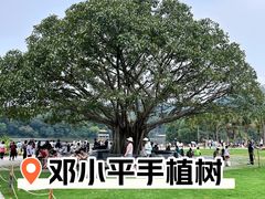 -深圳仙湖植物园