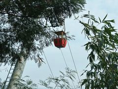 -漳州云洞岩风景区-瑞竹岩