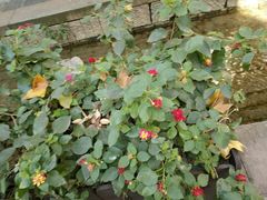 -猫的天空之城概念书店(杭州南宋御街店)