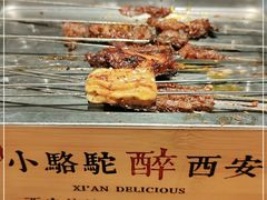 -福苗小骆驼烧烤(莲湖路店)