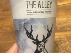 -THE ALLEY 鹿角巷(时代天街A馆店)