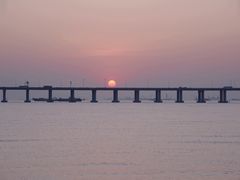 -宝安西湾红树林湿地公园