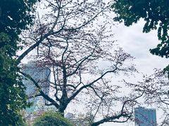 -广州中山纪念堂